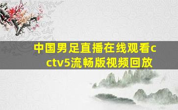 中国男足直播在线观看cctv5流畅版视频回放