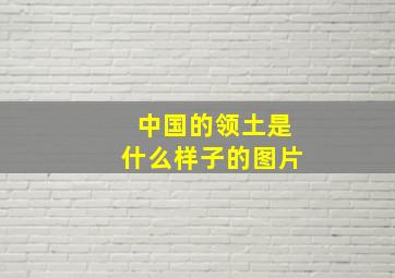 中国的领土是什么样子的图片