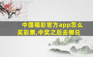 中国福彩官方app怎么买彩票,中奖之后去哪兑