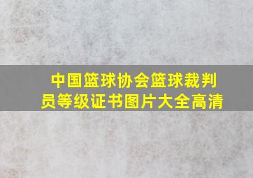 中国篮球协会篮球裁判员等级证书图片大全高清