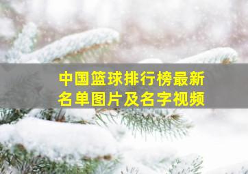 中国篮球排行榜最新名单图片及名字视频