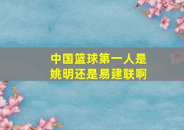 中国篮球第一人是姚明还是易建联啊