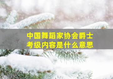 中国舞蹈家协会爵士考级内容是什么意思