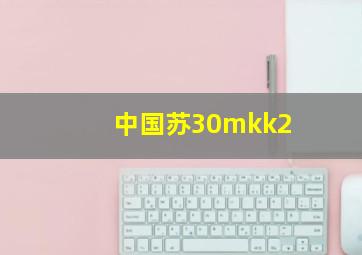 中国苏30mkk2