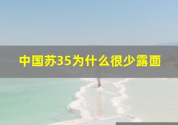 中国苏35为什么很少露面