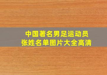 中国著名男足运动员张姓名单图片大全高清