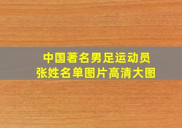 中国著名男足运动员张姓名单图片高清大图