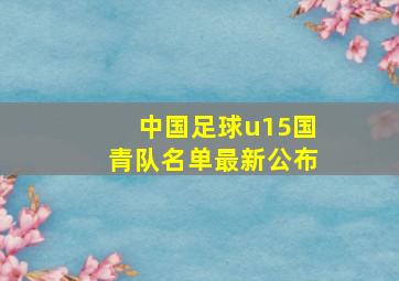 中国足球u15国青队名单最新公布