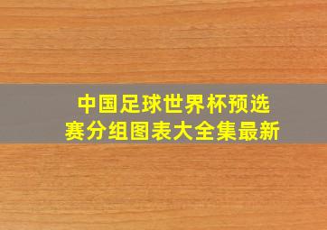 中国足球世界杯预选赛分组图表大全集最新