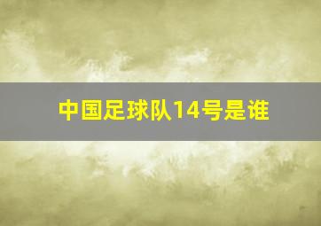 中国足球队14号是谁