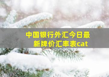 中国银行外汇今日最新牌价汇率表cat