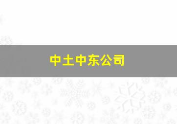 中土中东公司