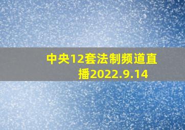 中央12套法制频道直播2022.9.14