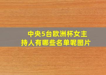 中央5台欧洲杯女主持人有哪些名单呢图片