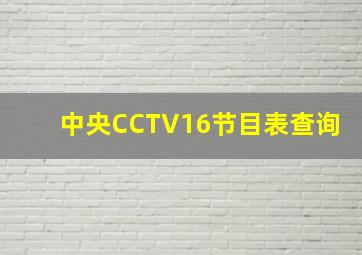 中央CCTV16节目表查询