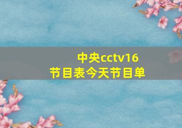 中央cctv16节目表今天节目单