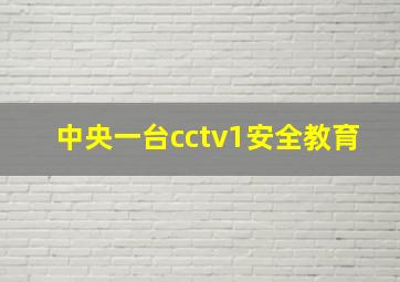 中央一台cctv1安全教育