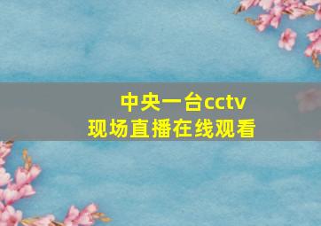 中央一台cctv现场直播在线观看