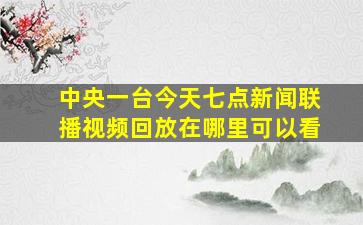 中央一台今天七点新闻联播视频回放在哪里可以看