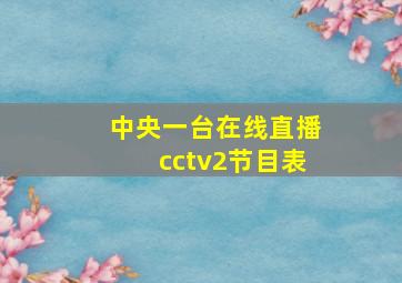 中央一台在线直播cctv2节目表