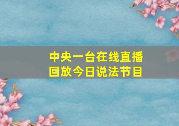 中央一台在线直播回放今日说法节目