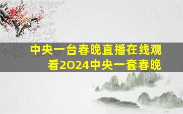 中央一台春晚直播在线观看2O24中央一套春晚