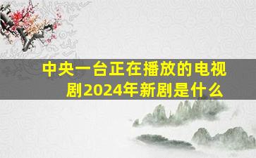 中央一台正在播放的电视剧2024年新剧是什么