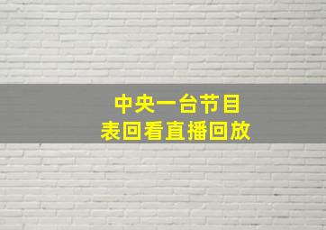 中央一台节目表回看直播回放