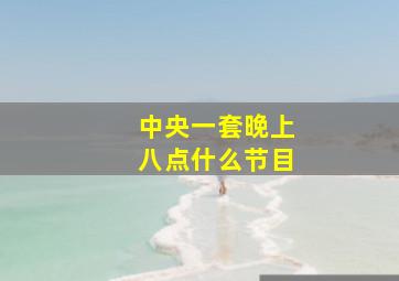 中央一套晚上八点什么节目