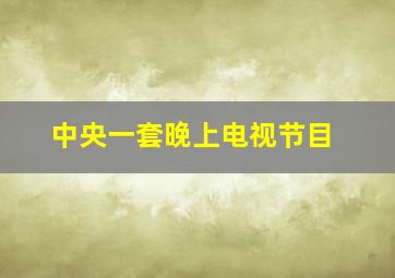 中央一套晚上电视节目