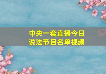 中央一套直播今日说法节目名单视频