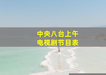 中央八台上午电视剧节目表