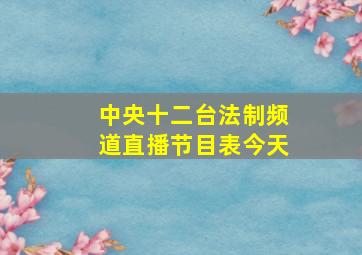 中央十二台法制频道直播节目表今天