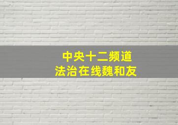 中央十二频道法治在线魏和友