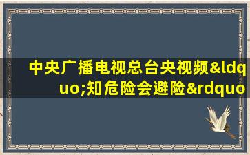 中央广播电视总台央视频“知危险会避险”