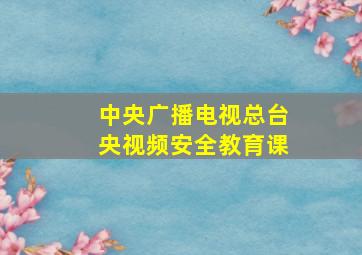 中央广播电视总台央视频安全教育课