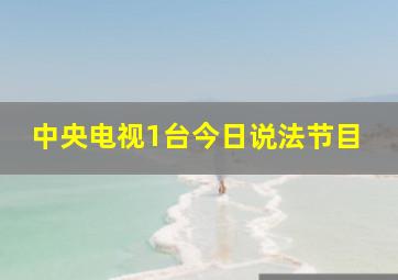 中央电视1台今日说法节目