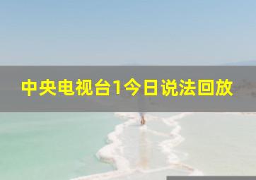 中央电视台1今日说法回放