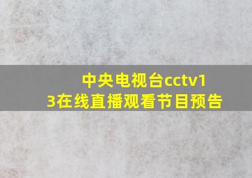 中央电视台cctv13在线直播观看节目预告