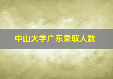 中山大学广东录取人数