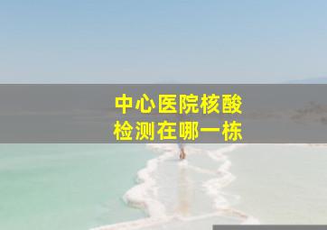 中心医院核酸检测在哪一栋