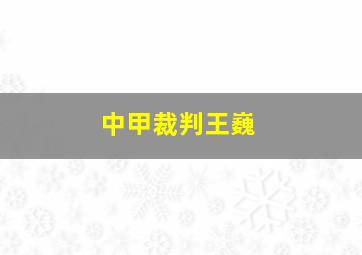 中甲裁判王巍