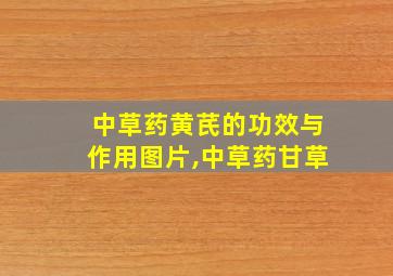 中草药黄芪的功效与作用图片,中草药甘草