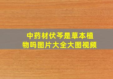 中药材伏芩是草本植物吗图片大全大图视频