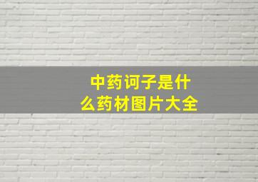 中药诃子是什么药材图片大全