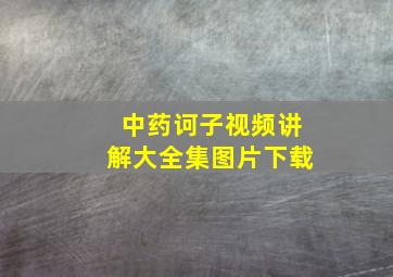 中药诃子视频讲解大全集图片下载