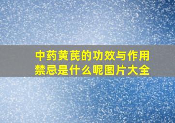 中药黄芪的功效与作用禁忌是什么呢图片大全