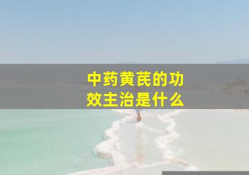 中药黄芪的功效主治是什么