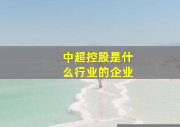 中超控股是什么行业的企业