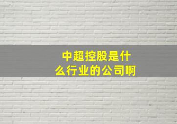 中超控股是什么行业的公司啊